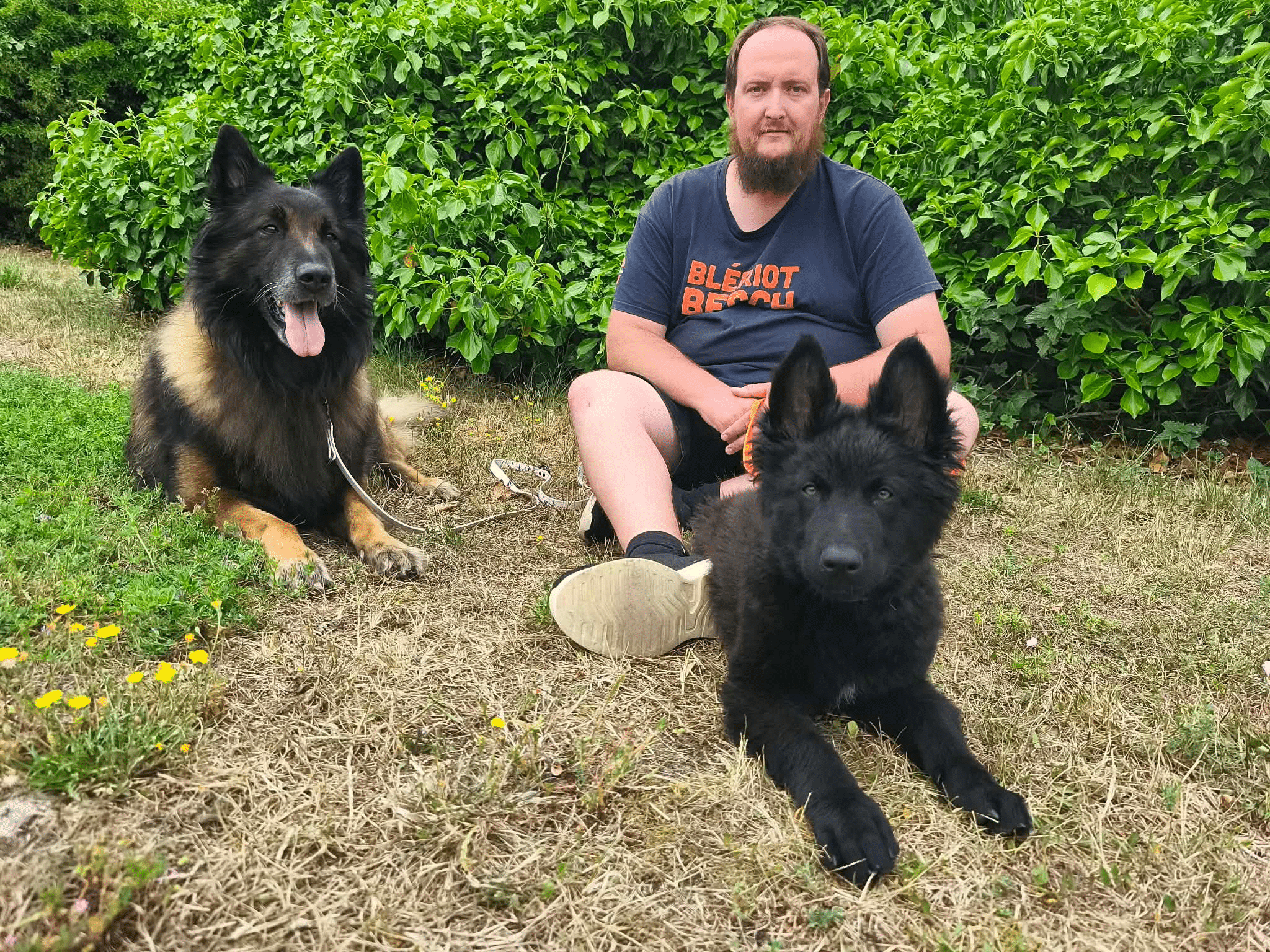 Portrait de Antoine, éducateur canin Pédadog