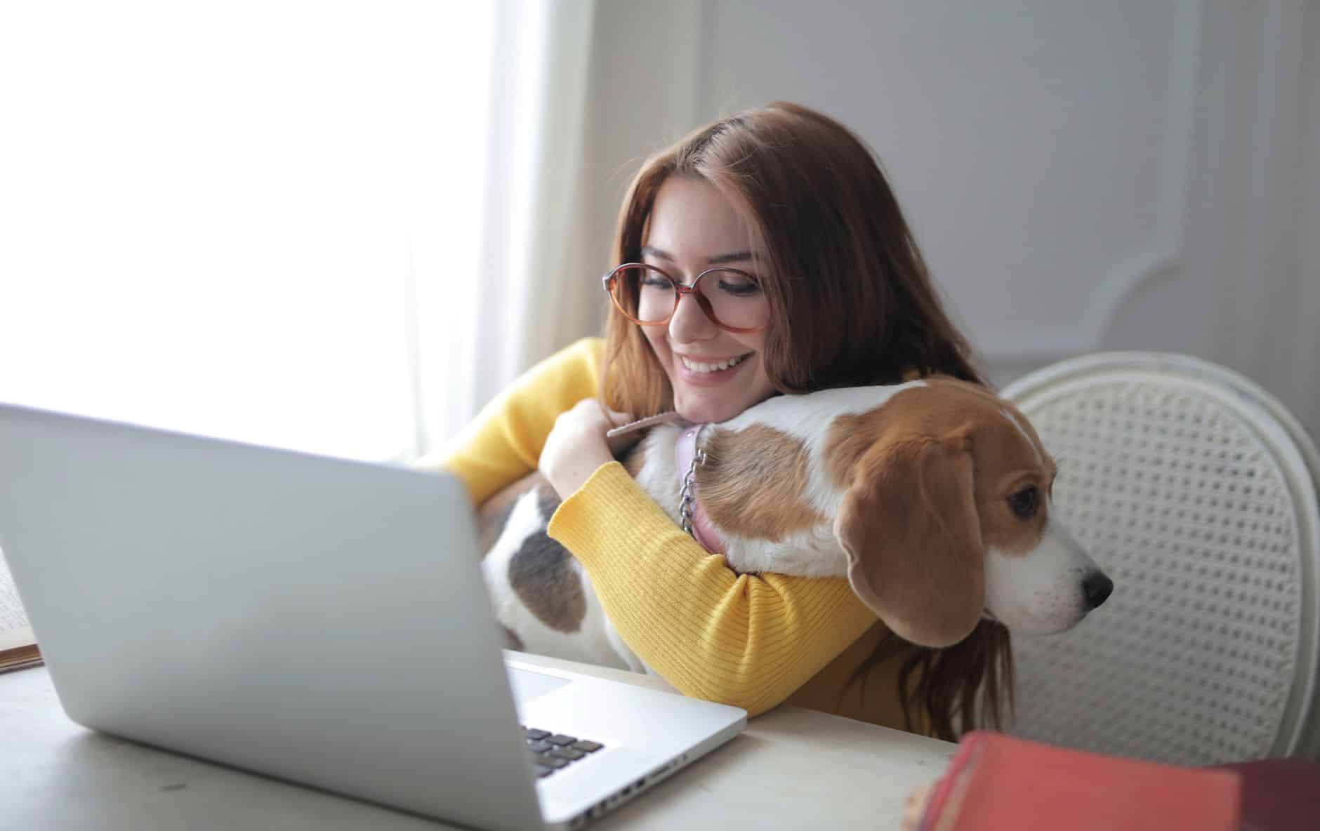 Une femme travaille sur son ordinateur portable à la maison, son beagle blotti contre elle