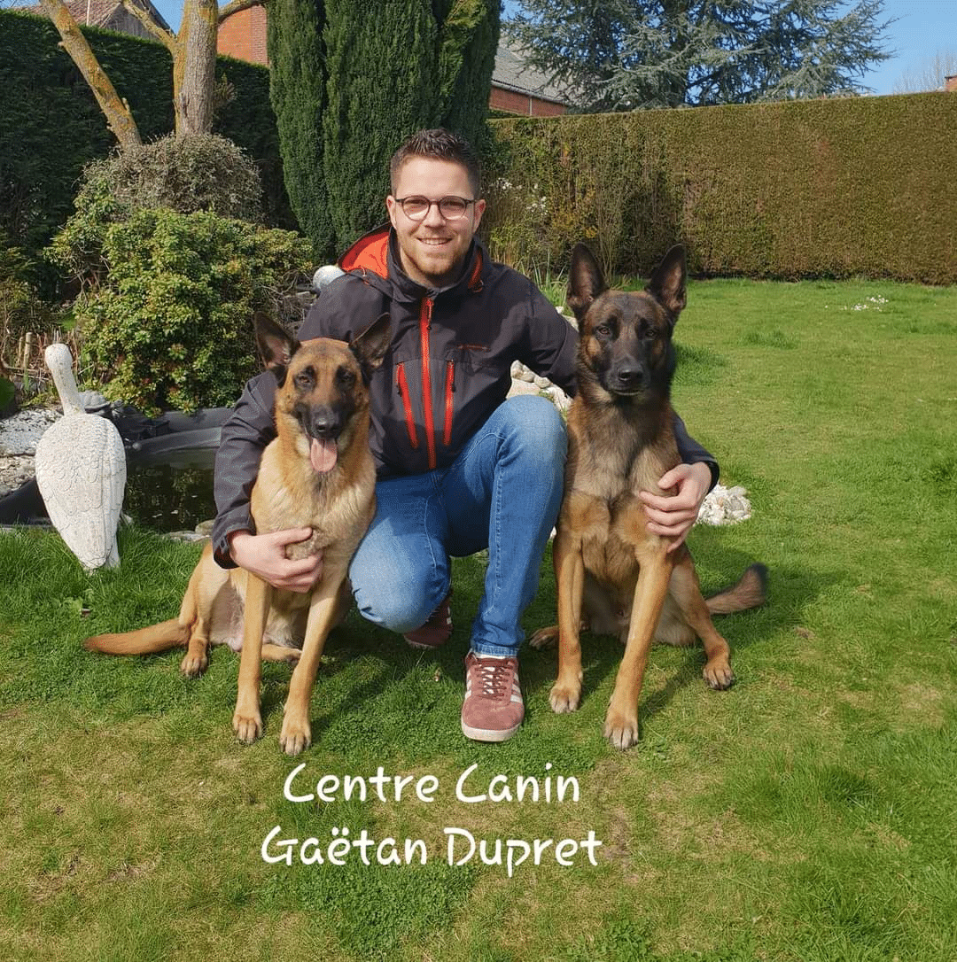 Portrait de Gaëtan, éducateur canin Pédadog